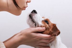 Discover The Qualities Of A Good Pet Sitter