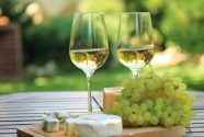 What Is Wine? Buy white wine from local sources